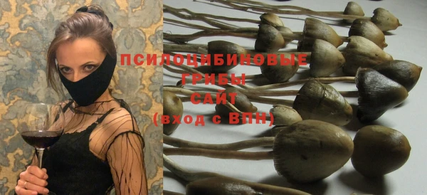ECSTASY Вязьма